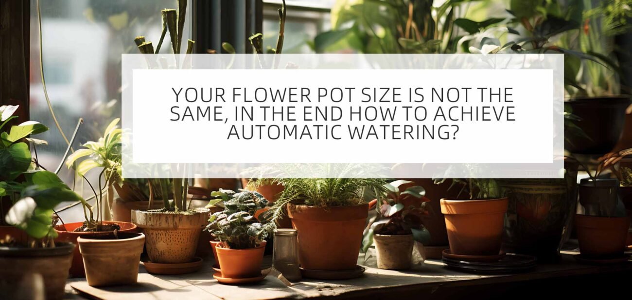  How Automatic Watering Systems Cater to Varied Water Needs of Large and Small Pots